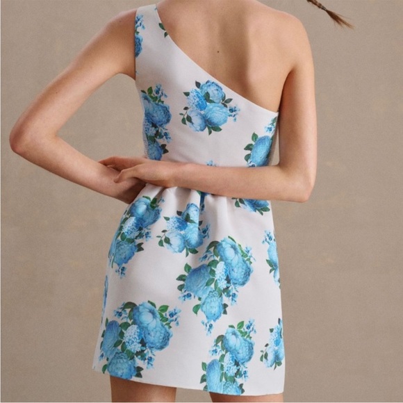 NWT Sachin + Babi Addison Dress, size 10 - Picture 2 of 7